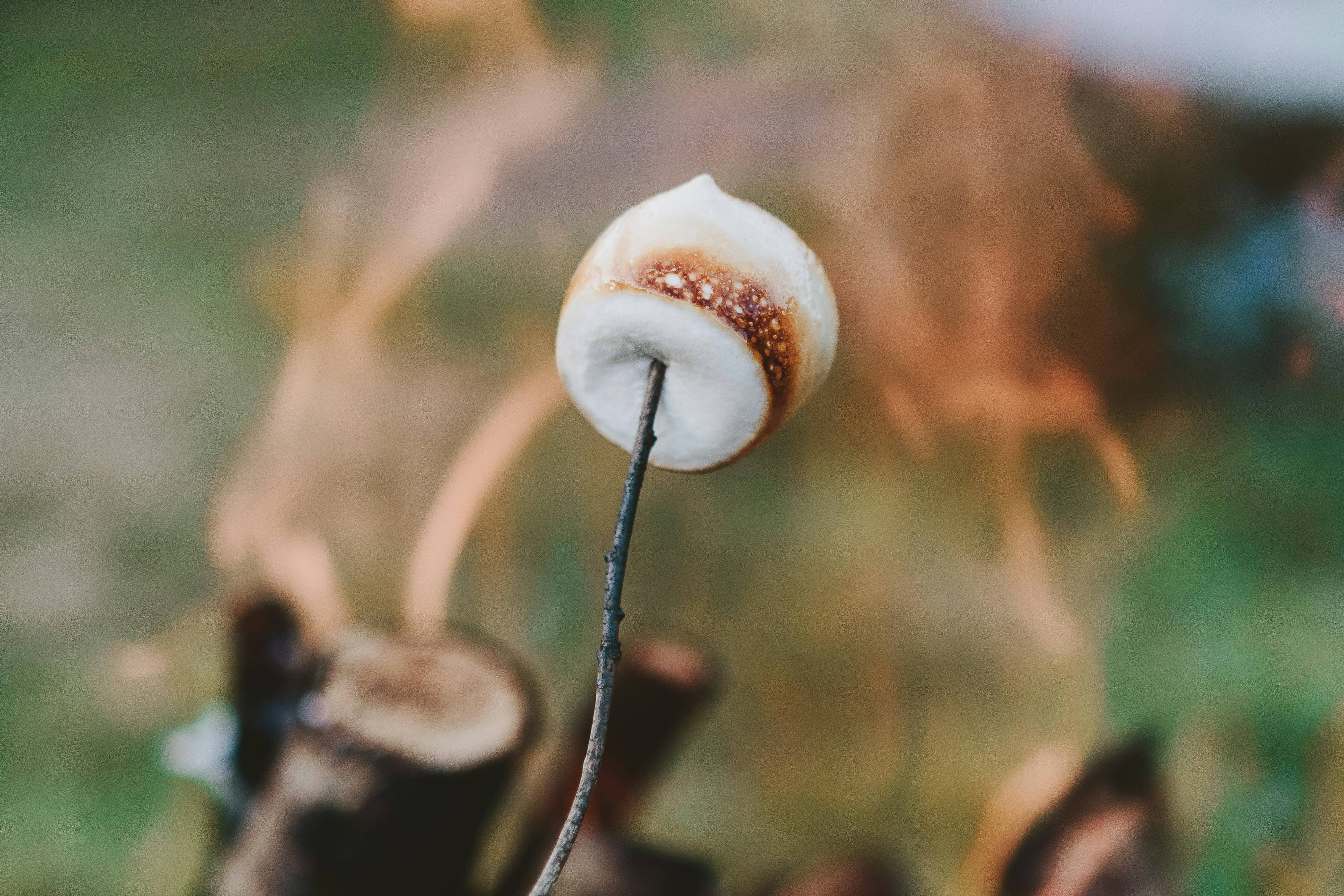 Campfire Marshmallow