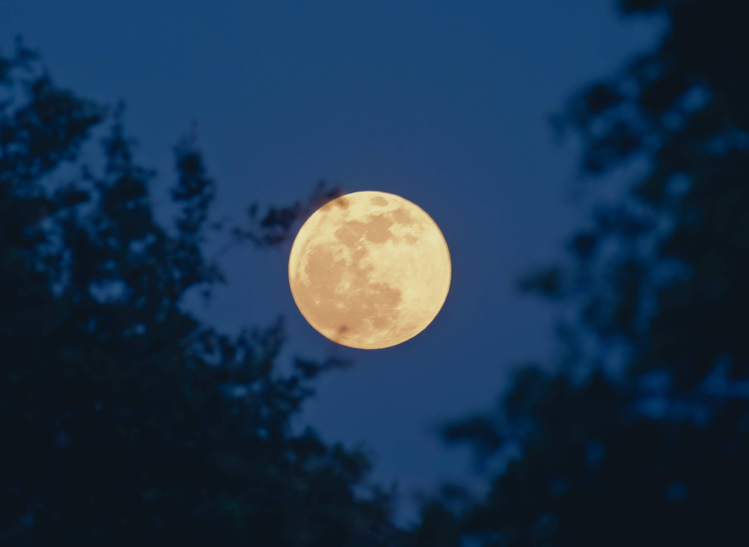 Harvest Moon