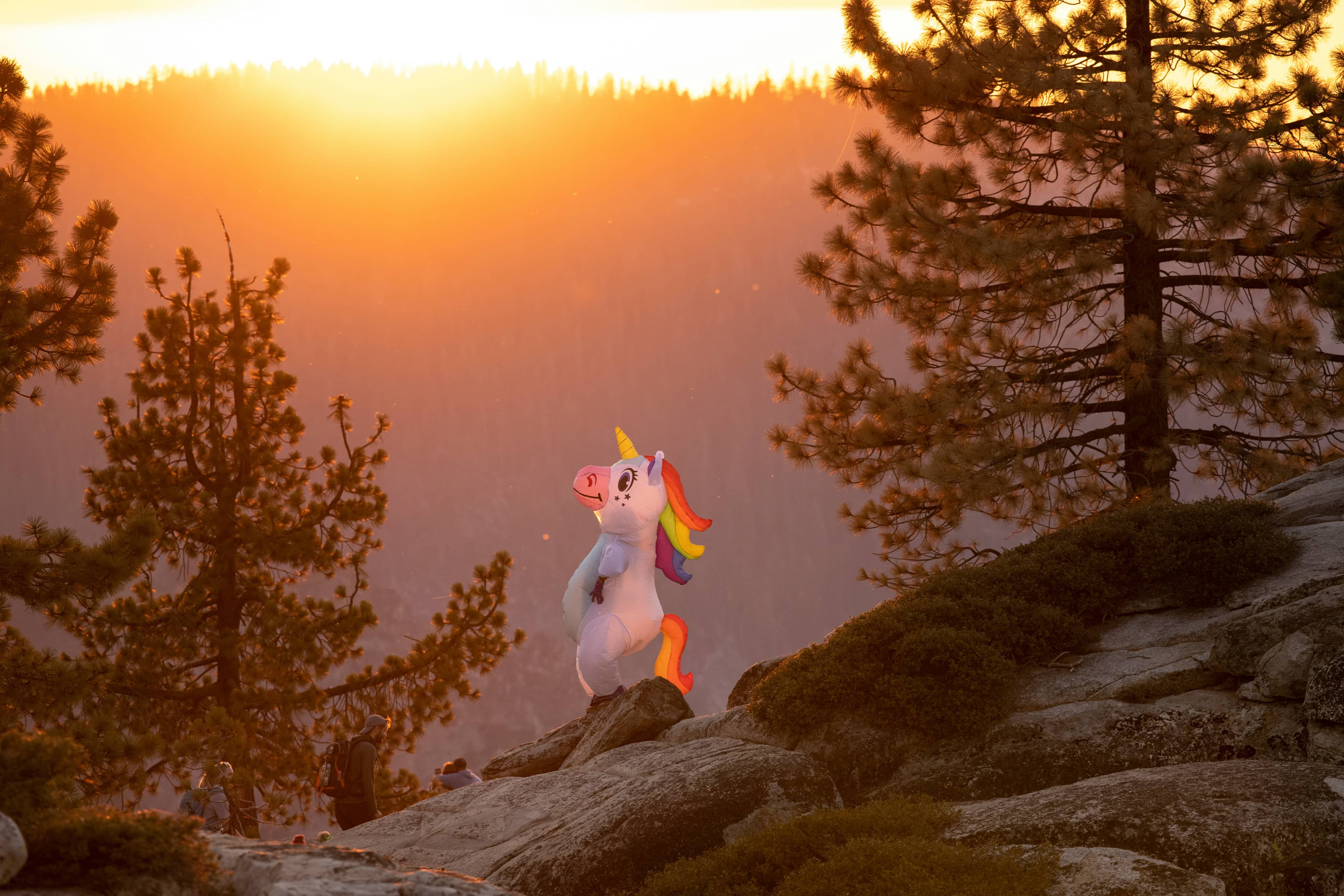 Unicorn Poop