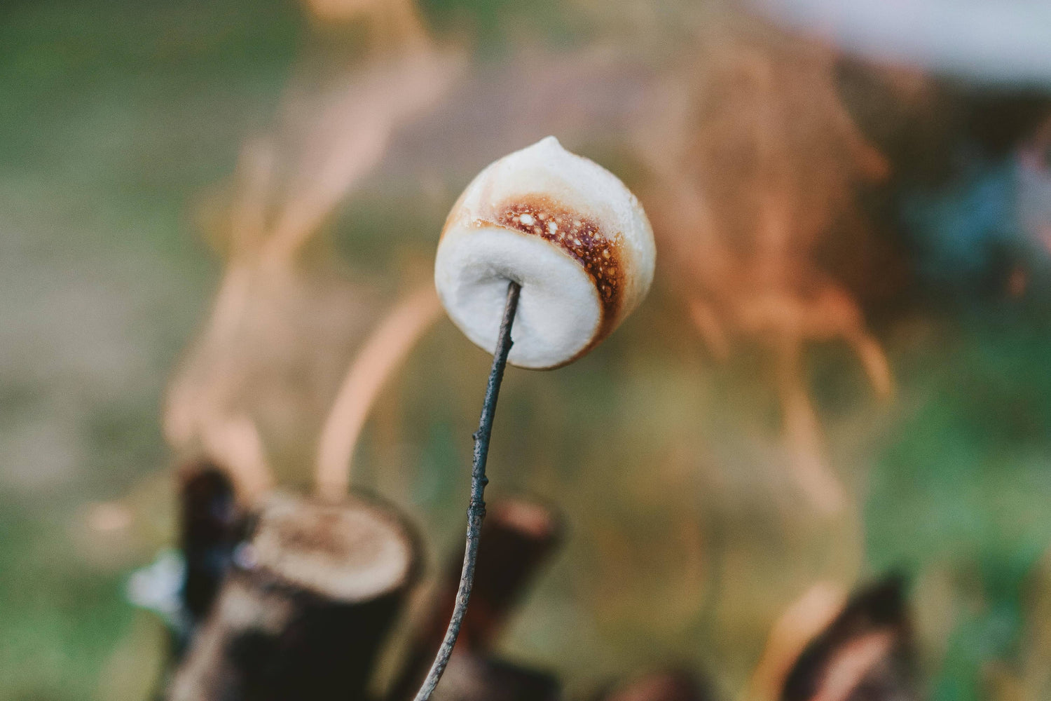 Campfire Marshmallow