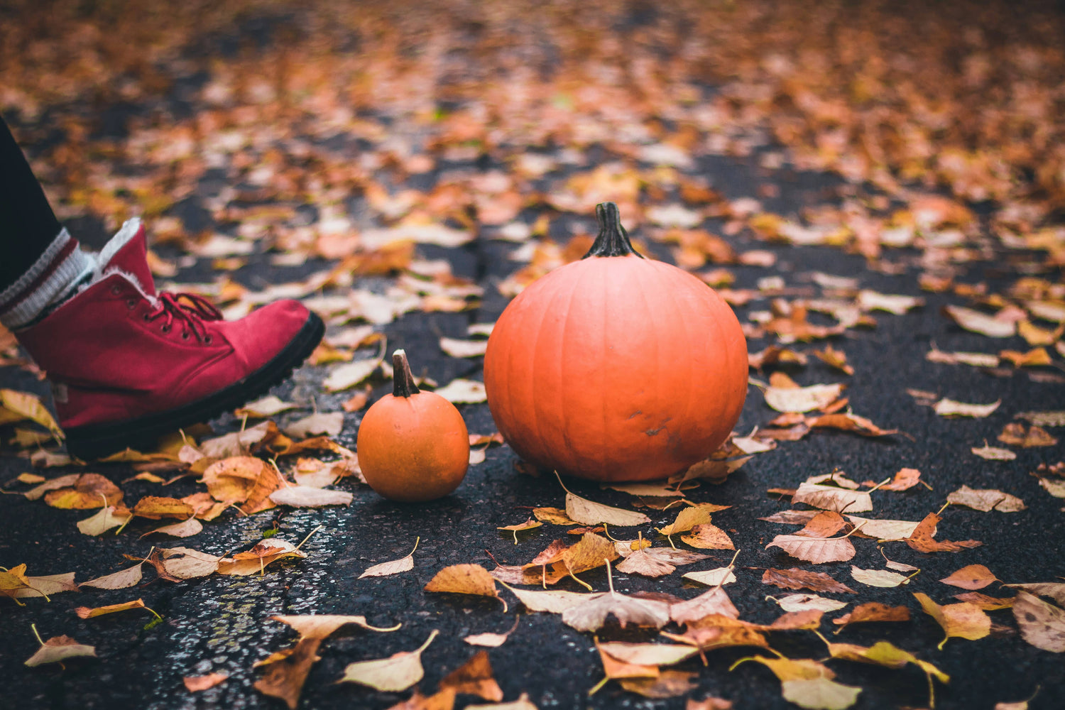 Fall Rituals