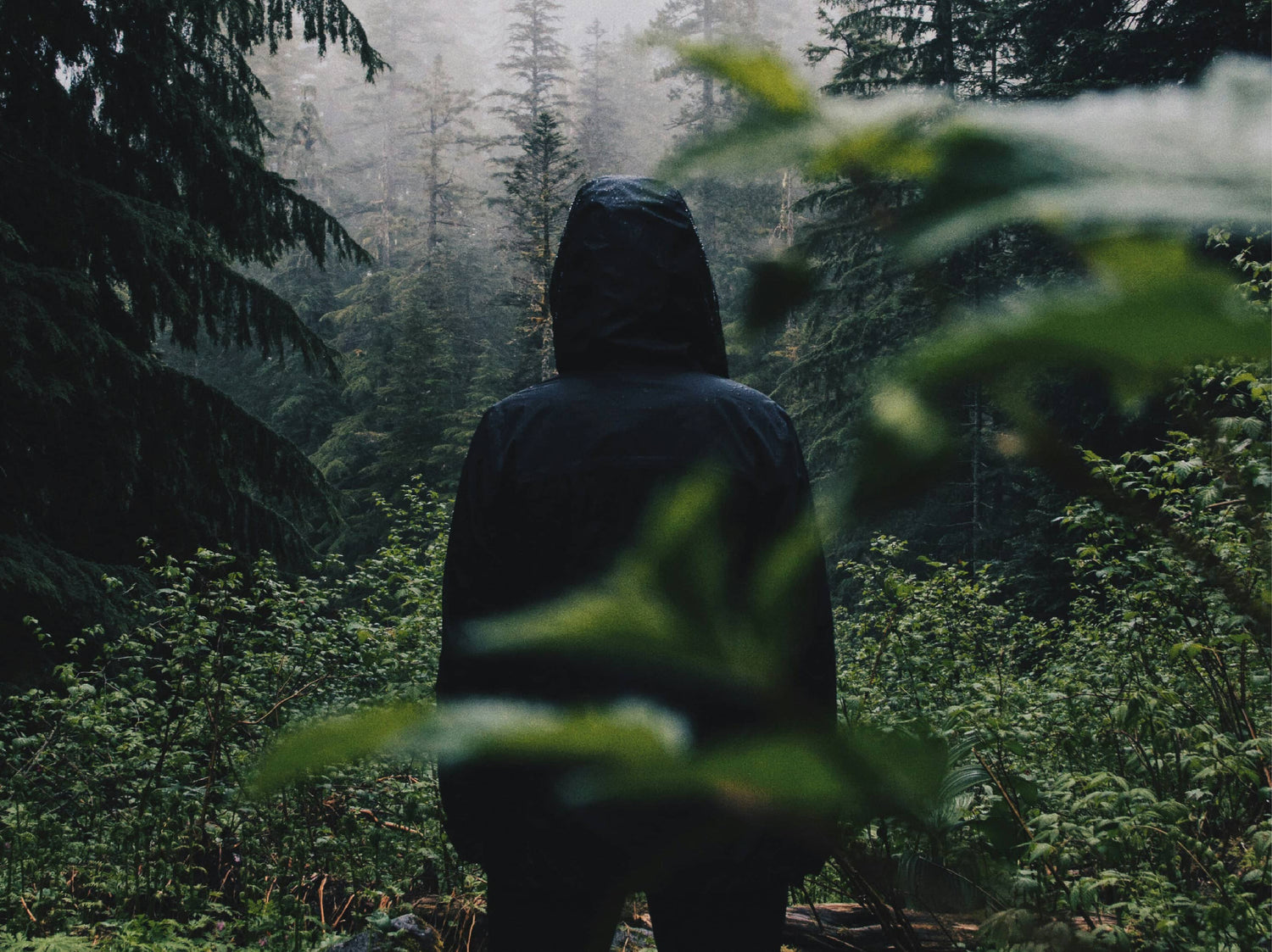 Moody & Mysterious