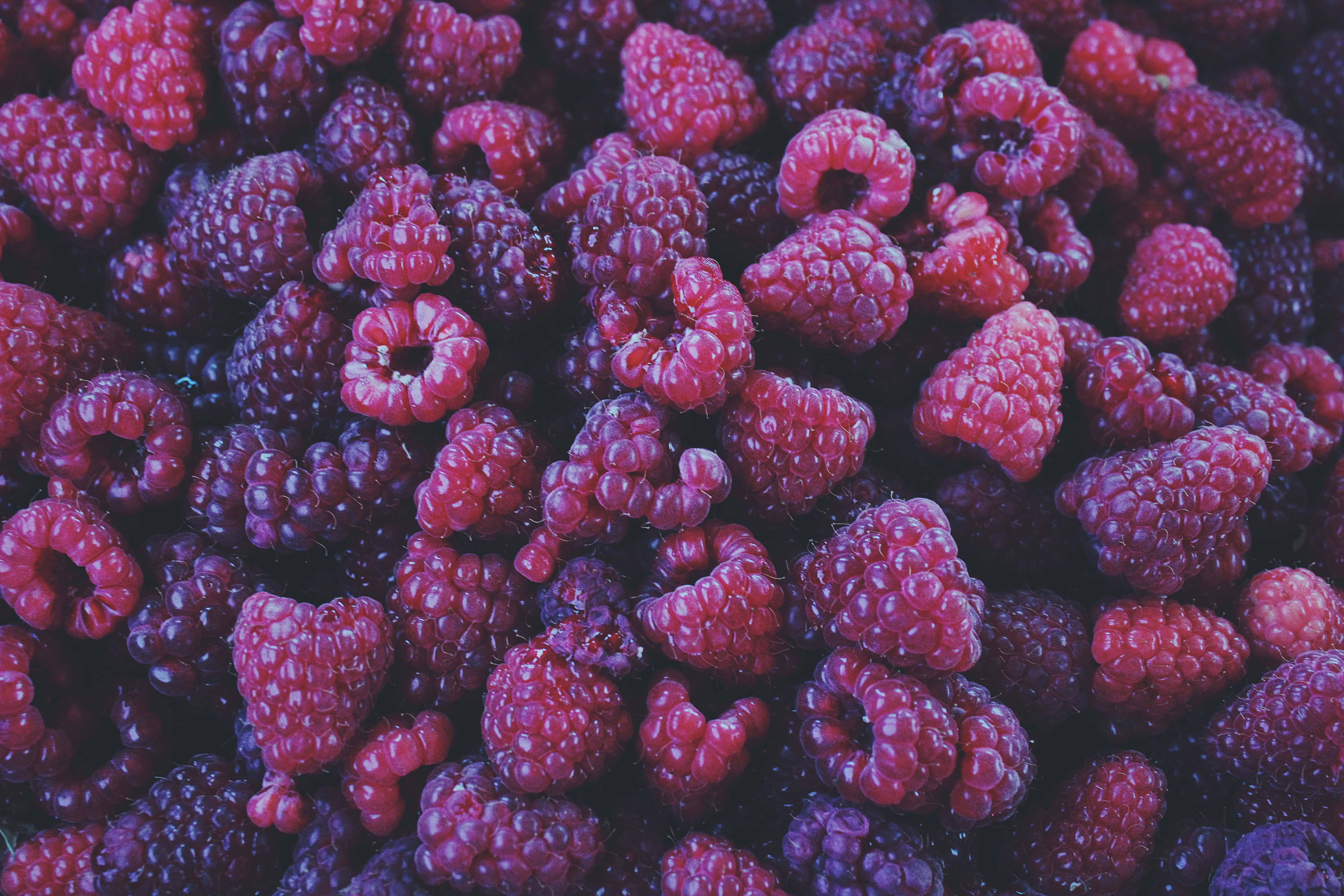 Black Raspberry Vanilla